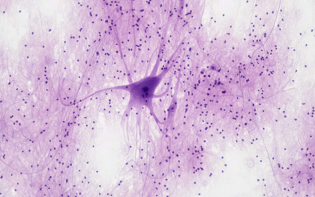 Biomedical Science